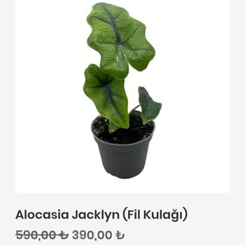 Görseldeki Ürünle Gelen Arasındaki Fark Hayal Kırıklığı Yarattı