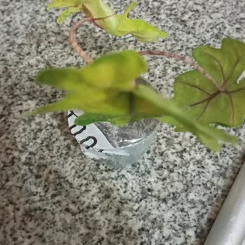 Görseldeki Ürünle Gelen Arasındaki Fark Hayal Kırıklığı Yarattı