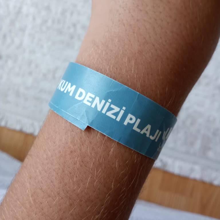 Urla Plajında Hijyen, Hizmet Ve Fiyat Fiyaskosu