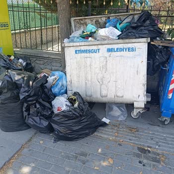 Çöp Konteynerlerinin Boşaltılmaması ve Koku Sorunu Hakkında Şikayet