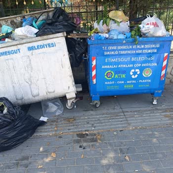 Çöp Konteynerlerinin Boşaltılmaması ve Koku Sorunu Hakkında Şikayet