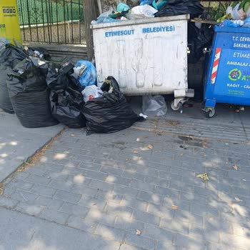 Çöp Konteynerlerinin Boşaltılmaması ve Koku Sorunu Hakkında Şikayet
