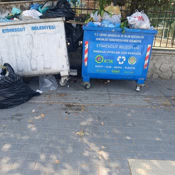 Çöp Konteynerlerinin Boşaltılmaması ve Koku Sorunu Hakkında Şikayet