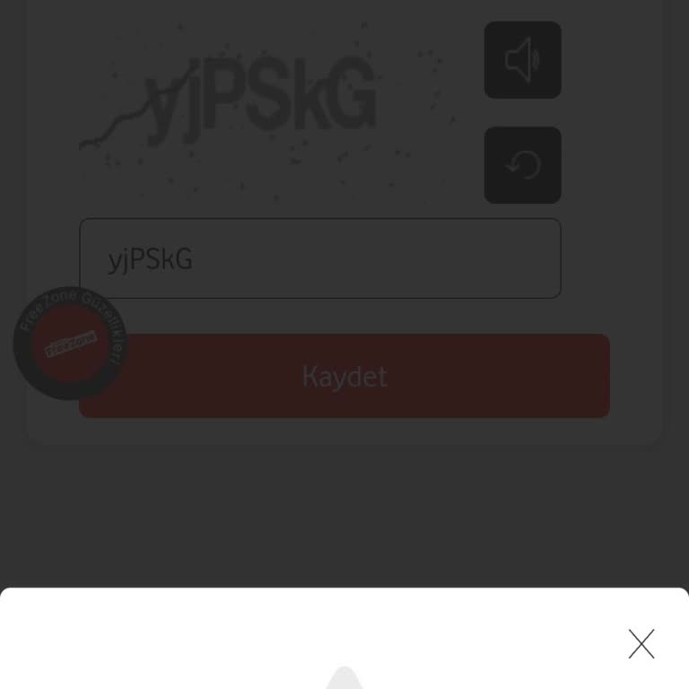 FreeZone Özelliğini Kullanamıyorum, Sürekli Hata Alıyorum