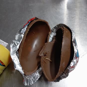 Ozmo Yumurta İçinden Kurt Çıkması Ve Sağlık Endişesi