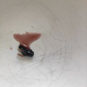 Karadut Şurubunda Böcek Çıkması Çocuk Sağlığını Tehdit Etti