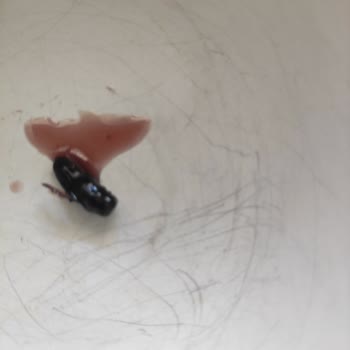 Karadut Şurubunda Böcek Çıkması Çocuk Sağlığını Tehdit Etti