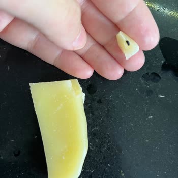 Aldığım Peynirden Böcek Çıktı, Hayal Kırıklığına Uğradım