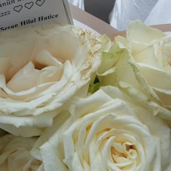 Solmuş Ve Çürümüş Çiçekler İçin Ücret İadesi Talebi