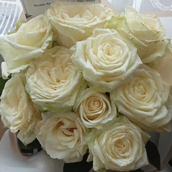 Solmuş Ve Çürümüş Çiçekler İçin Ücret İadesi Talebi