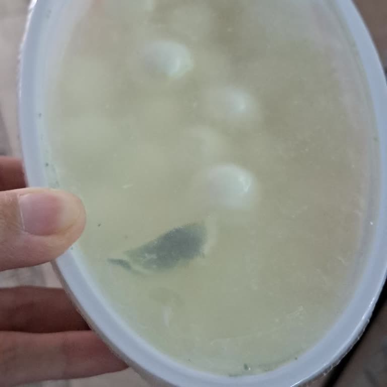 Açılmamış Peynirde Küf Şoku: Acil Çözüm Bekliyorum