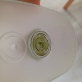 Brita Su Filtresinde Israrla Geçmeyen Yosun Sorunu Ve Yetersiz Çözüm