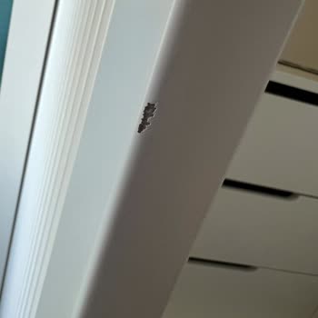 Sürekli Geciken Teslimat Ve Eksik Ürünlerle Hayal Kırıklığı