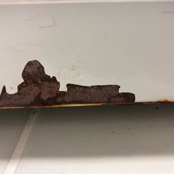 Bosch Çamaşır Makinesi Paslanma Sorunu Ve Garanti Kapsamı Mağduriyeti