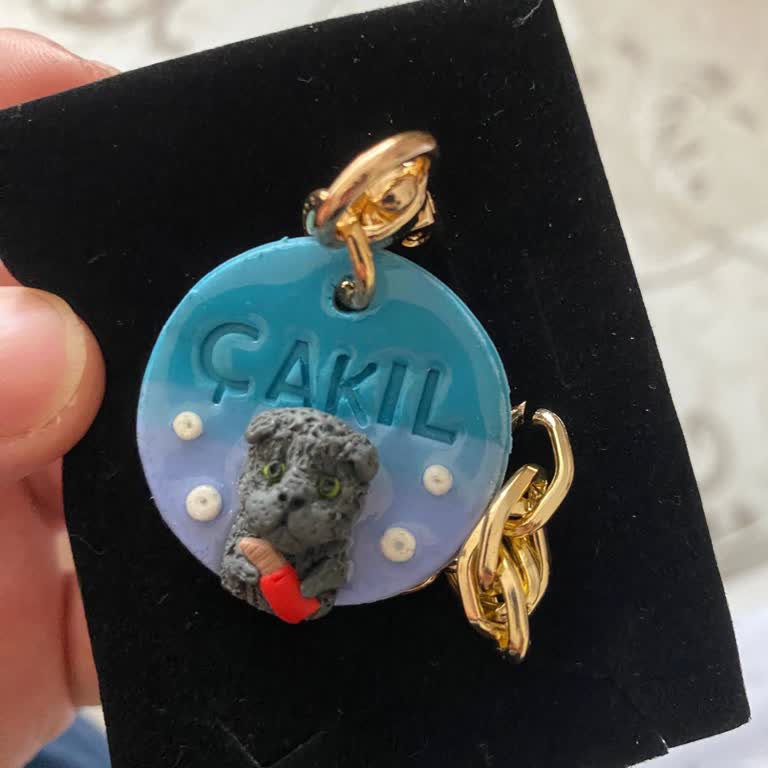 Alissopet Şikayetçiyim