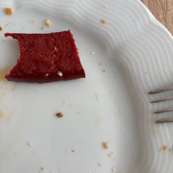 Üründe Hijyen Sorunu Deneyimi