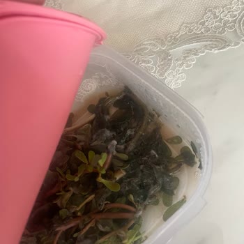 Siemens Buzdolabında Sürekli Arıza Ve İlgisizlik