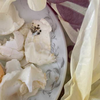 Bravo Marketten Alınan Kaşar Ve Yumurtada Bozuk Ürün Ve Değişim Sorunu Yaşadım