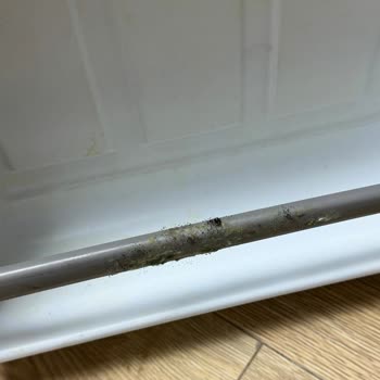 Hotel Angel Beach Temizlik Ve Hizmet Sorunlarıyla Hayal Kırıklığı!