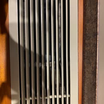 Hijyen Eksikliği Ve İlgisizlik Nedeniyle Hayal Kırıklığı Yaşadık