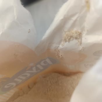 Piyale Tam Buğday Ununda Tekrarlayan Kurt Sorunu