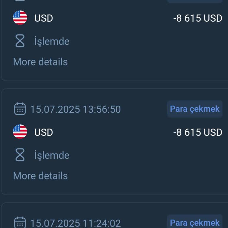 Yatırım Vaadiyle Mağdur Edildim, Paramı Geri Alamıyorum