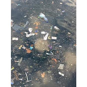 Darıca Bayramoğlu Plajında Temizlik Sorunu Ve Sağlık Tehlikesi