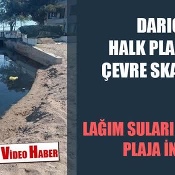 Darıca Bayramoğlu Plajında Temizlik Sorunu Ve Sağlık Tehlikesi