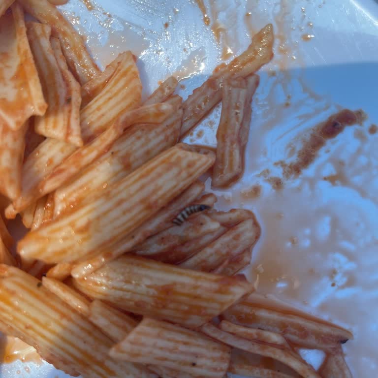 Sulu Ada Tekne Turunda Hayal Kırıklığı Ve Hizmet Sorunları