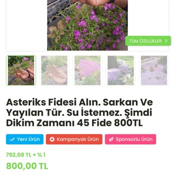 Bitkisatisi.com.tr Yanlış Adresle Kaybolan Sipariş ve Kaba Müşteri Hizmeti Mağduriyeti