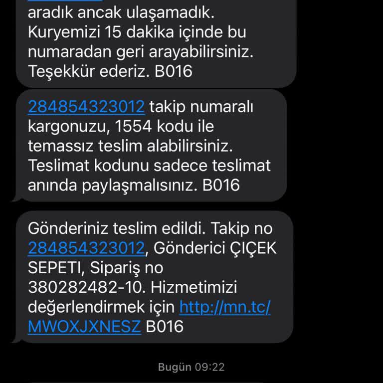 Teslim Edilmediği Halde Sistemde Teslim Edilmiş Görünen Kargo