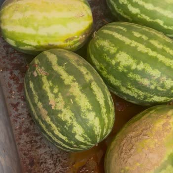 Şok Markette Hijyen Sorunu Ve İlgisiz Personel Deneyimi