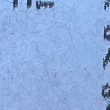 BİM Markette Etiket Fiyatı İle Kasadaki Tutar Sürekli Farklı Çıkıyor