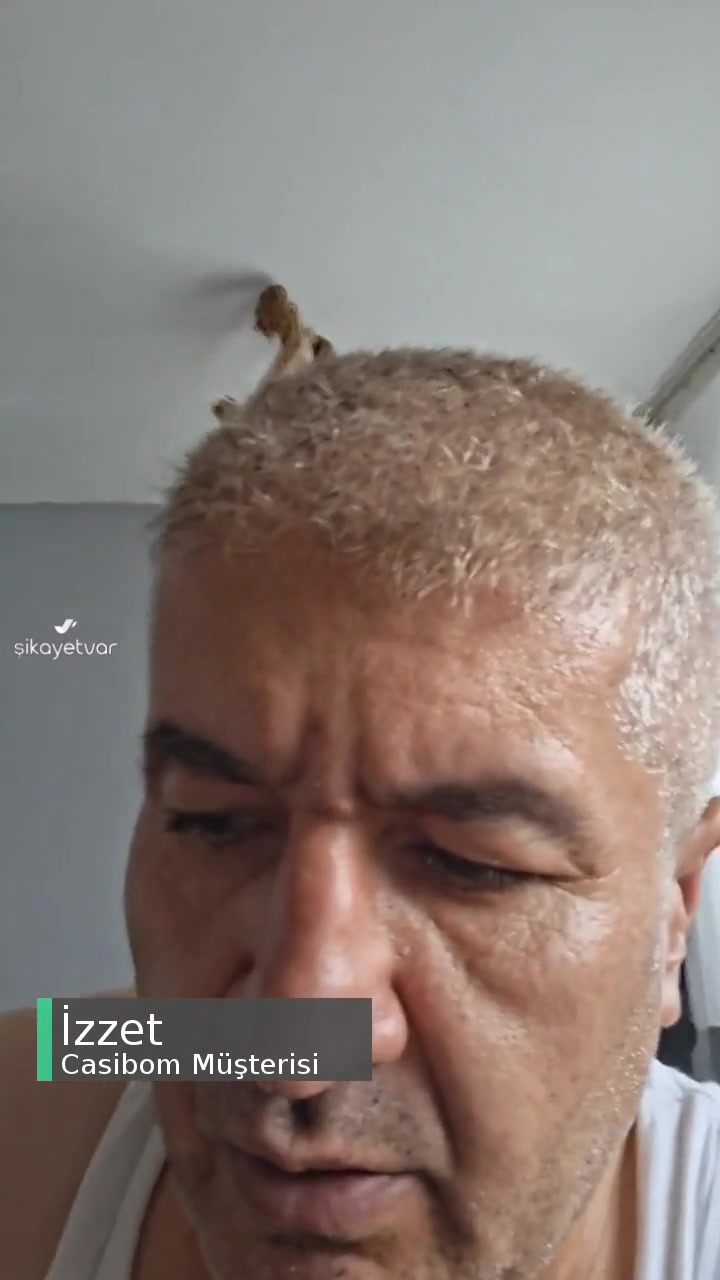 Casibom Yanlış Miktar Aktarım Yaptım videonun kapak resmi