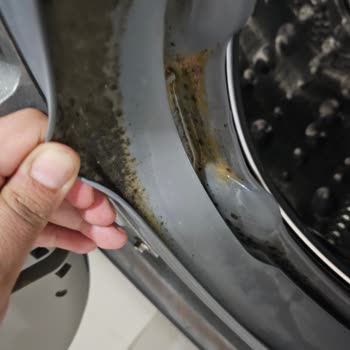 8 Aylık LG Çamaşır Makinesinde Küf Ve Yüksek Masraf Şoku