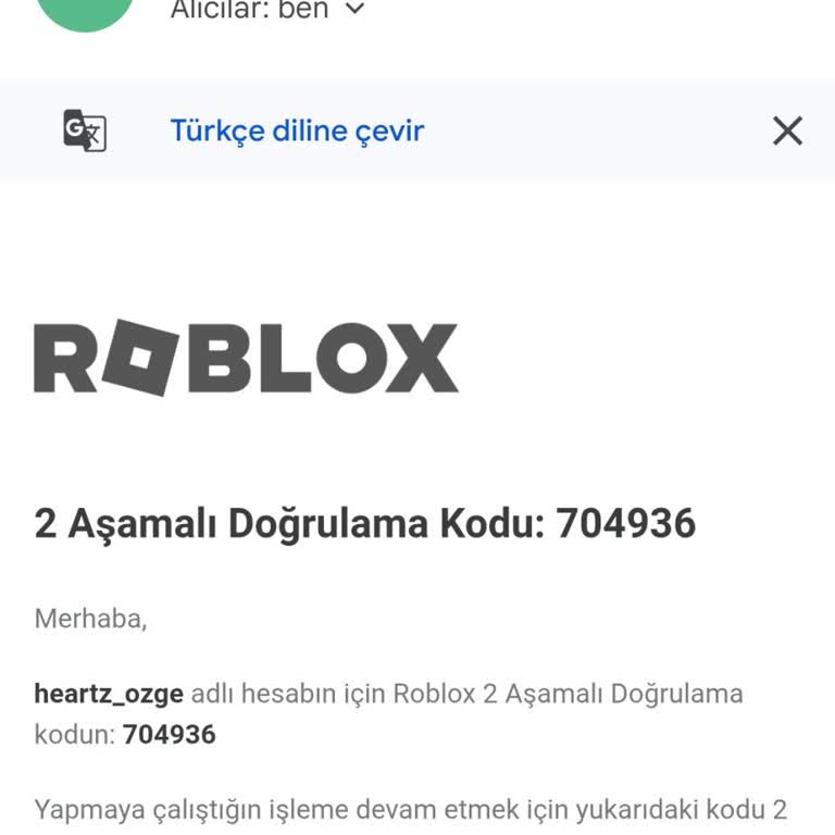 I Lost Access to My Roblox Account After Sharing It With a Friend