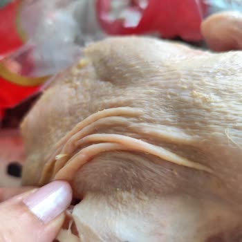 BİM'den Aldığım Tavukta Ölü Sinek Çıktı, Hijyen Sorunu Yaşadım