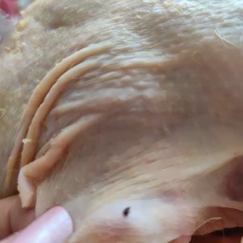 BİM'den Alınan Tavukta Ölü Sinek Şoku Ve Ambalajlama Sorunu