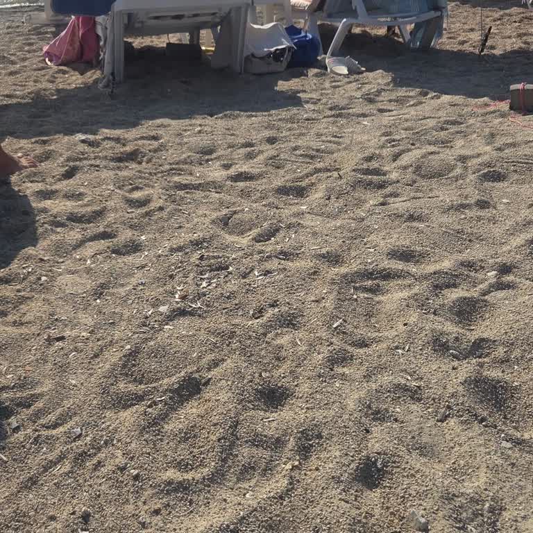 Avşa Adası Sahilinde Şezlong Ve Şemsiye İşgali Nedeniyle Kamusal Alanlara Erişememe Sorunu