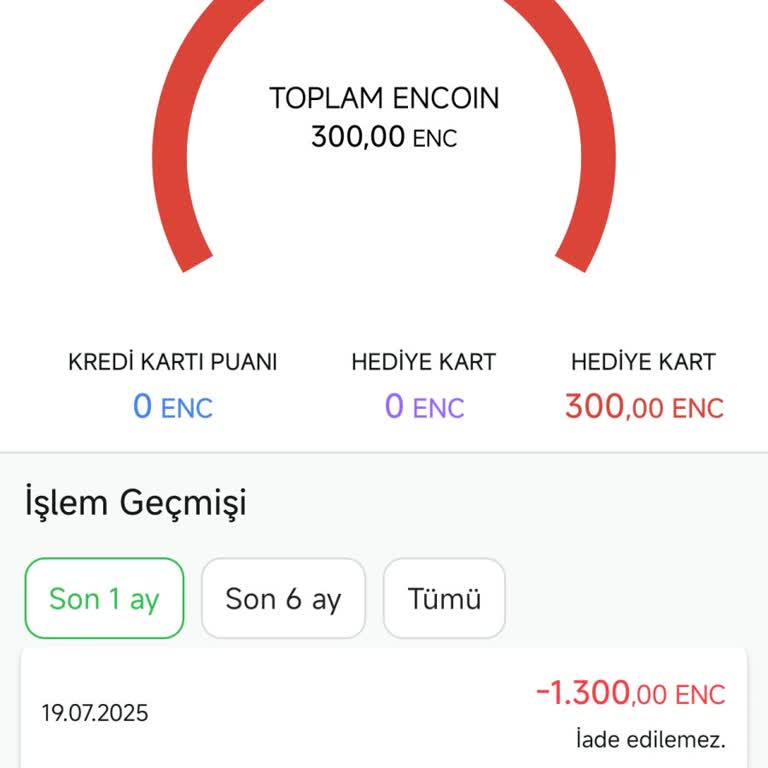 Bilet İadesi Encoin Olarak Yapıldı, Para İadesi Alamadım