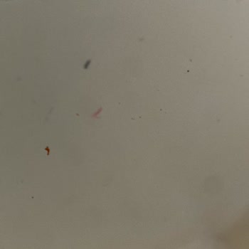 Granit Evyede Kısa Sürede Kırılma Ve Boya Atması Sorunu