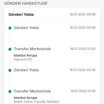 Kargo Teslimatında Gecikme Ve Yetersiz Müşteri Hizmeti Deneyimi