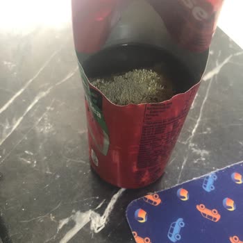 Fuse Tea Ice Tea Karpuzlu Küflenmesi