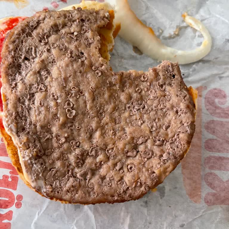 Burger King Bozulmuş Görünümlü Hamburgerler Midemi Bulandırdı