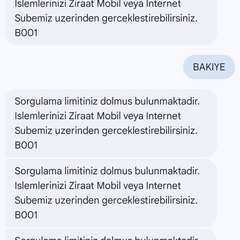 Bakiye Sorgulama Limiti Yetersizliği Ve İnternet Bankacılığına Alternatif Talebi