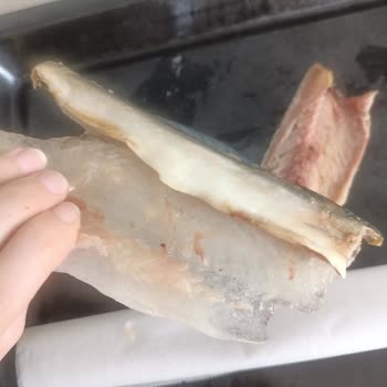 Son Tüketim Tarihi Geçmemiş Uskumru Balığın Bozuk Çıkması Ve Kötü Koku Sorunu