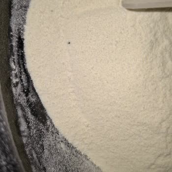 Protein Tozunda Şüpheli Siyah Noktalar Ve Koku: Ürün İncelemesi Talebi