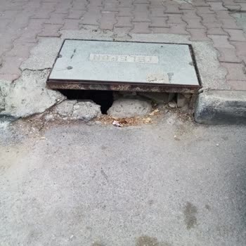 Türk Telekom Açık Telekom Kabloları Hayvanlar Ve Çocuklar İçin Tehlike Oluşturuyor