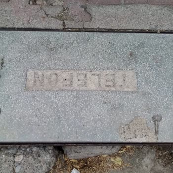 Türk Telekom Açık Telekom Kabloları Hayvanlar Ve Çocuklar İçin Tehlike Oluşturuyor