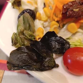 Tavuk Dünyası Hijyen ve Çürümüş Salata Şikayeti